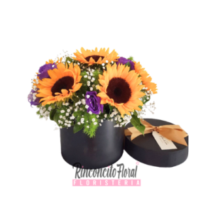 Caja Tropico de Amor
