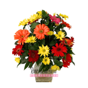Jarrón con Gerberas