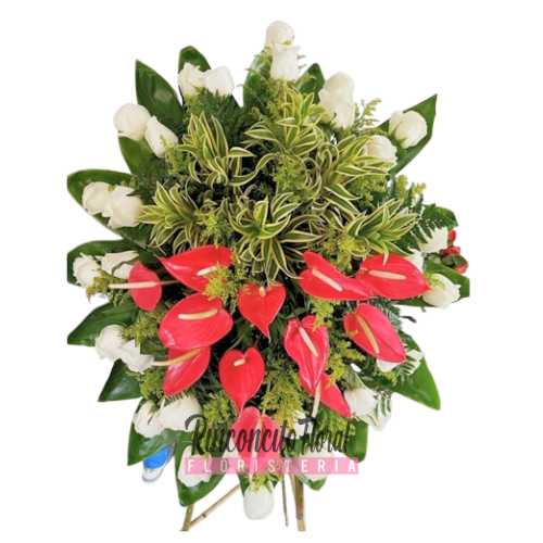 Presente De Paz 1 Presente De Paz