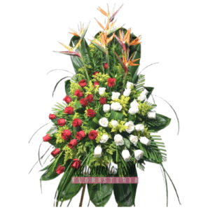 Vida En Flores
