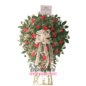 Lagrimas Y Rosas
